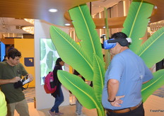 Transcontinental Packaging had VR glasses for viewers to see an immersive experience of their banana boxes and packing on a farm.